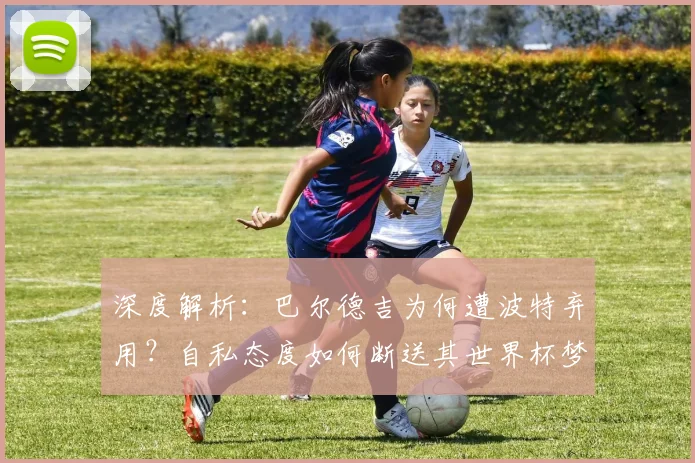 深度解析：巴尔德吉为何遭波特弃用？自私态度如何断送其世界杯梦想与职业生涯前景